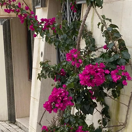 Circeo Mon Apartment San Felice Circeo