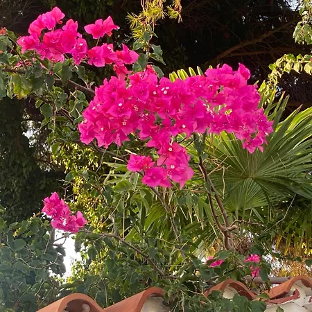 Circeo Mon *